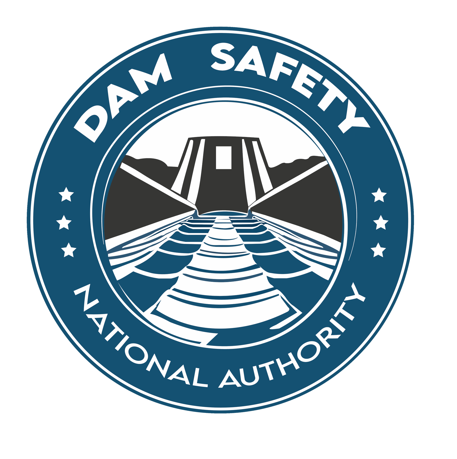 Dam Safetl logo